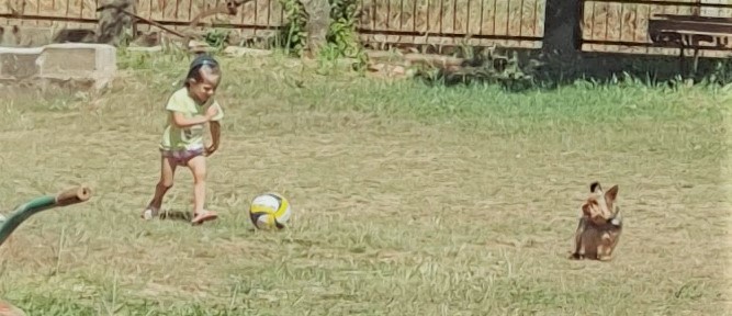 Brinquedos não têm género